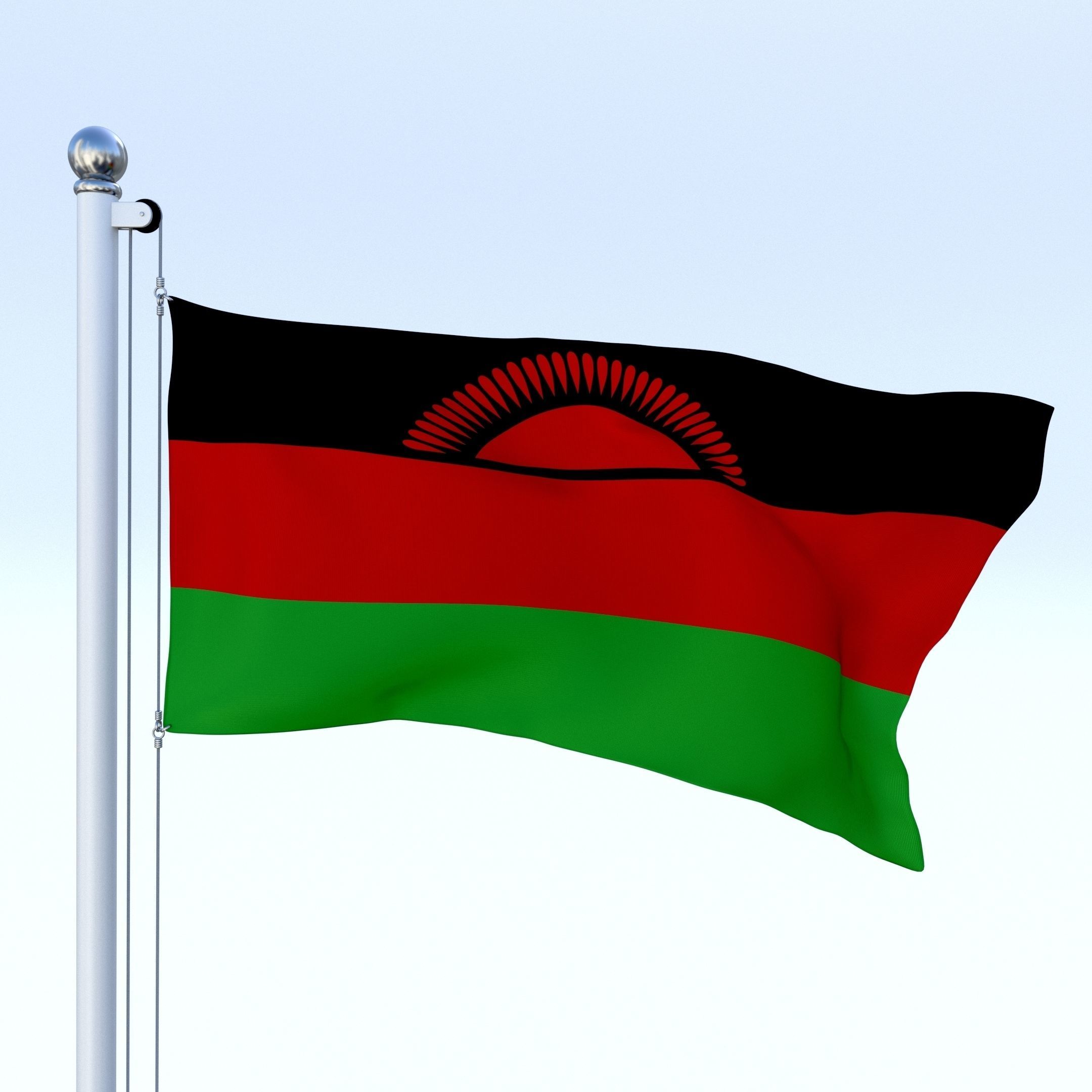 Animated Malawi Flag Low-poly 3D model_1