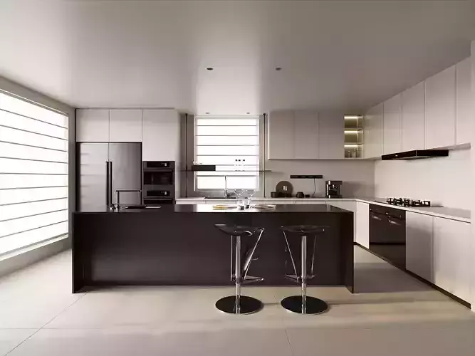 Modern Minimalist Black - White Kitchen with Island