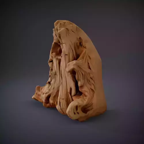 Natural Driftwood Rock model pack