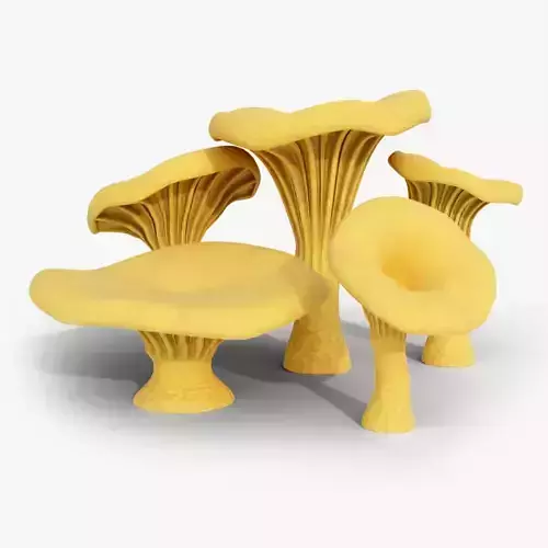 Chanterelle Mushroom Trees