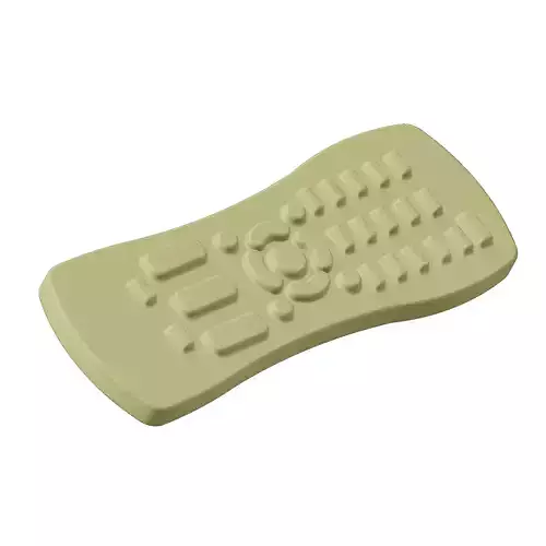 Plastic Exquisite Remote Toy