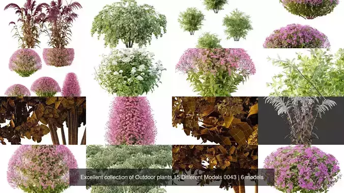 Excellent collection of Outdoor plants 15 Different Models 0043