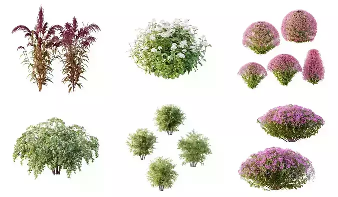 Excellent collection of Outdoor plants 15 Different Models 0043