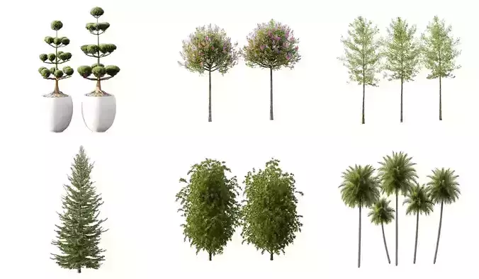 Excellent collection of Outdoor plants 15 Different Models 0044