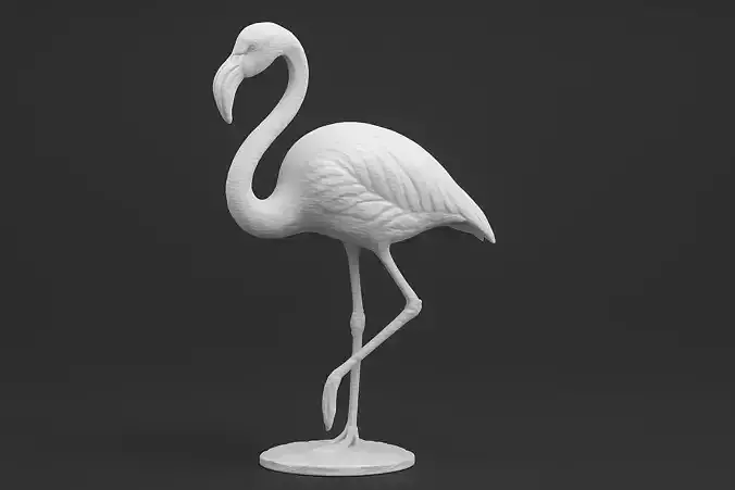 Flamingo Animal