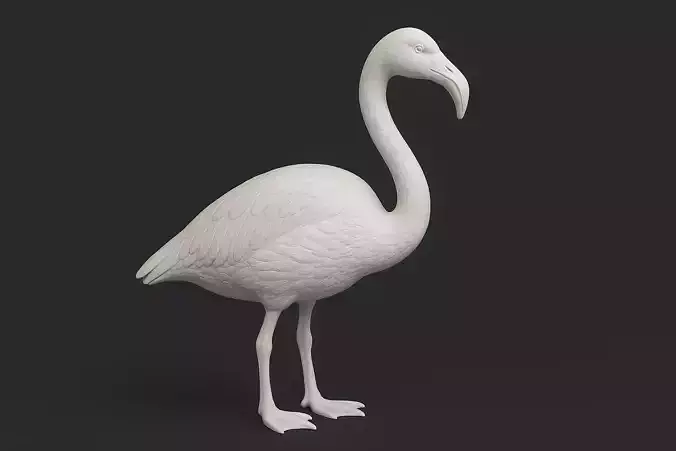 Flamingo Standing Pose 