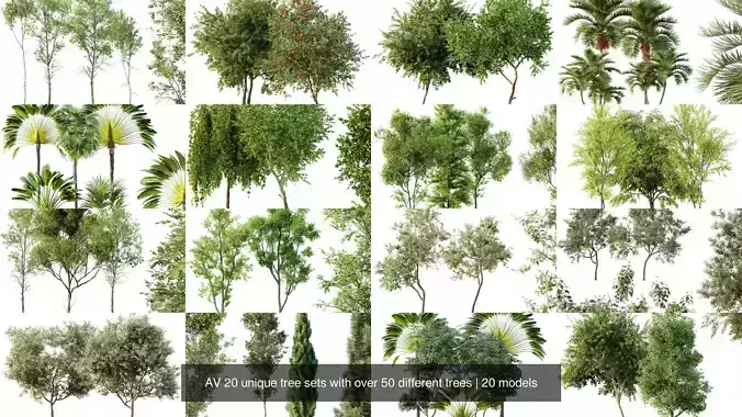 AV 20 unique tree sets with over 50 different trees