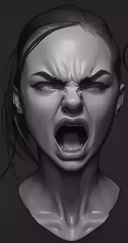 Female facial details head sculpture expression anger 3D model