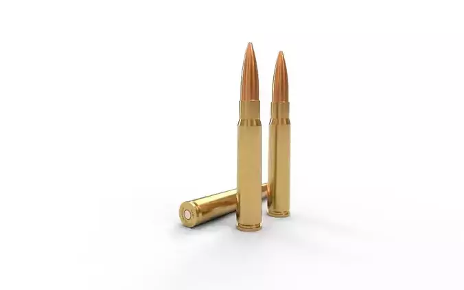 8x57mm JSMauser Ammo
