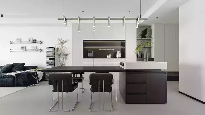 Contemporary Minimal Living Space With Open Kitchen