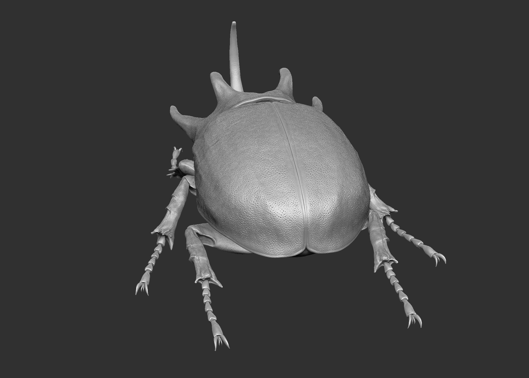 Rhinoceros Beetle 3D model_6
