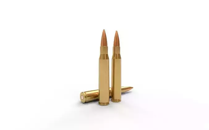 8x68mm S  Ammo