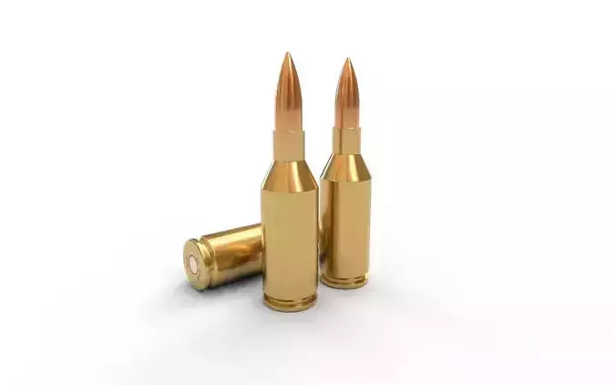 25 Winchester SSSM Ammo
