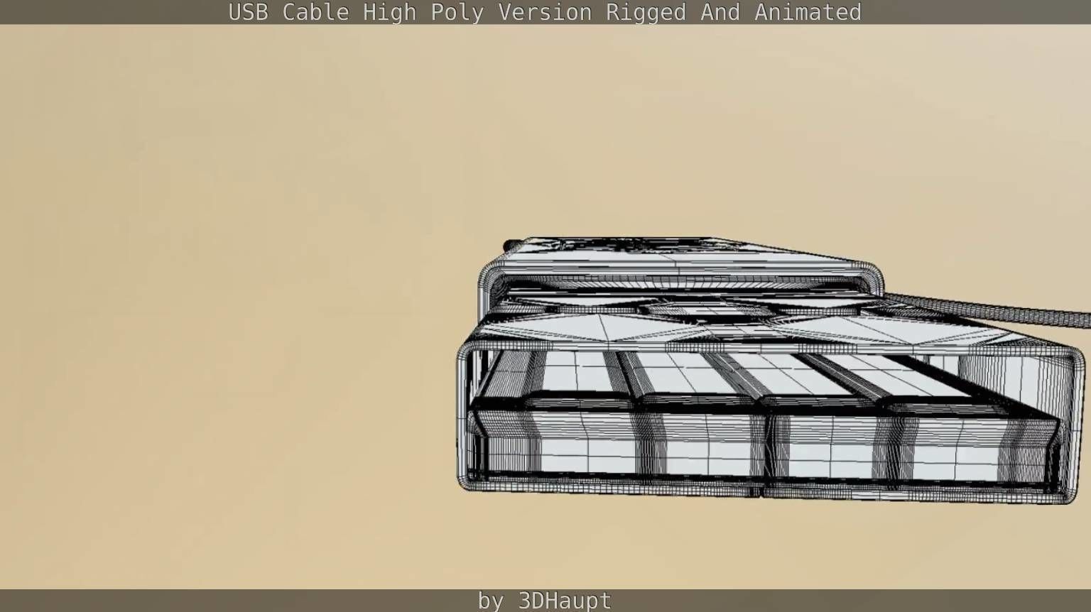 USB 3 Cable High Poly Version Rigged And Animated 3D model_134