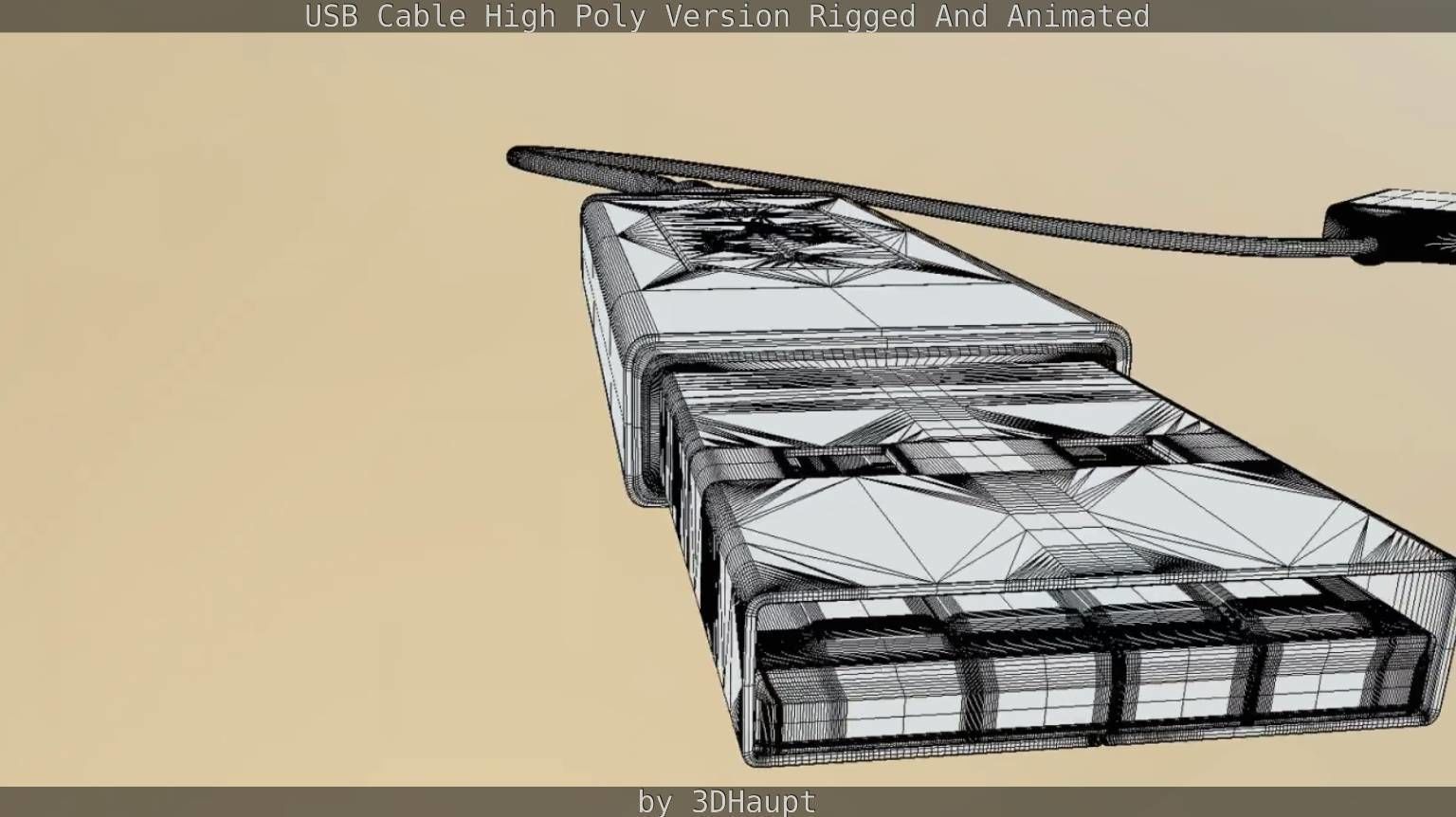 USB 3 Cable High Poly Version Rigged And Animated 3D model_135