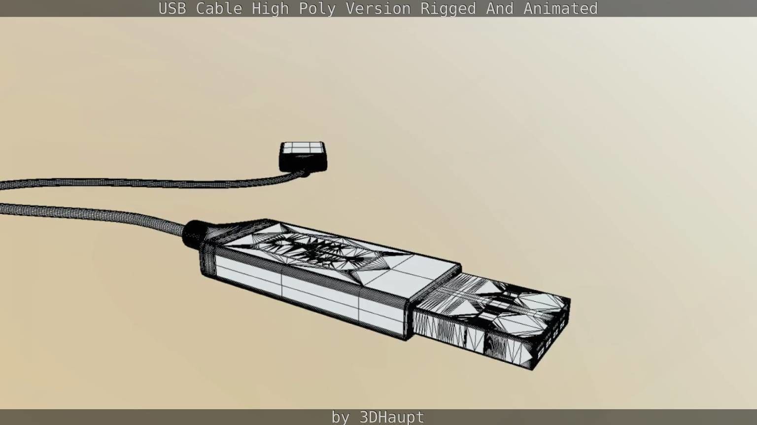 USB 3 Cable High Poly Version Rigged And Animated 3D model_126