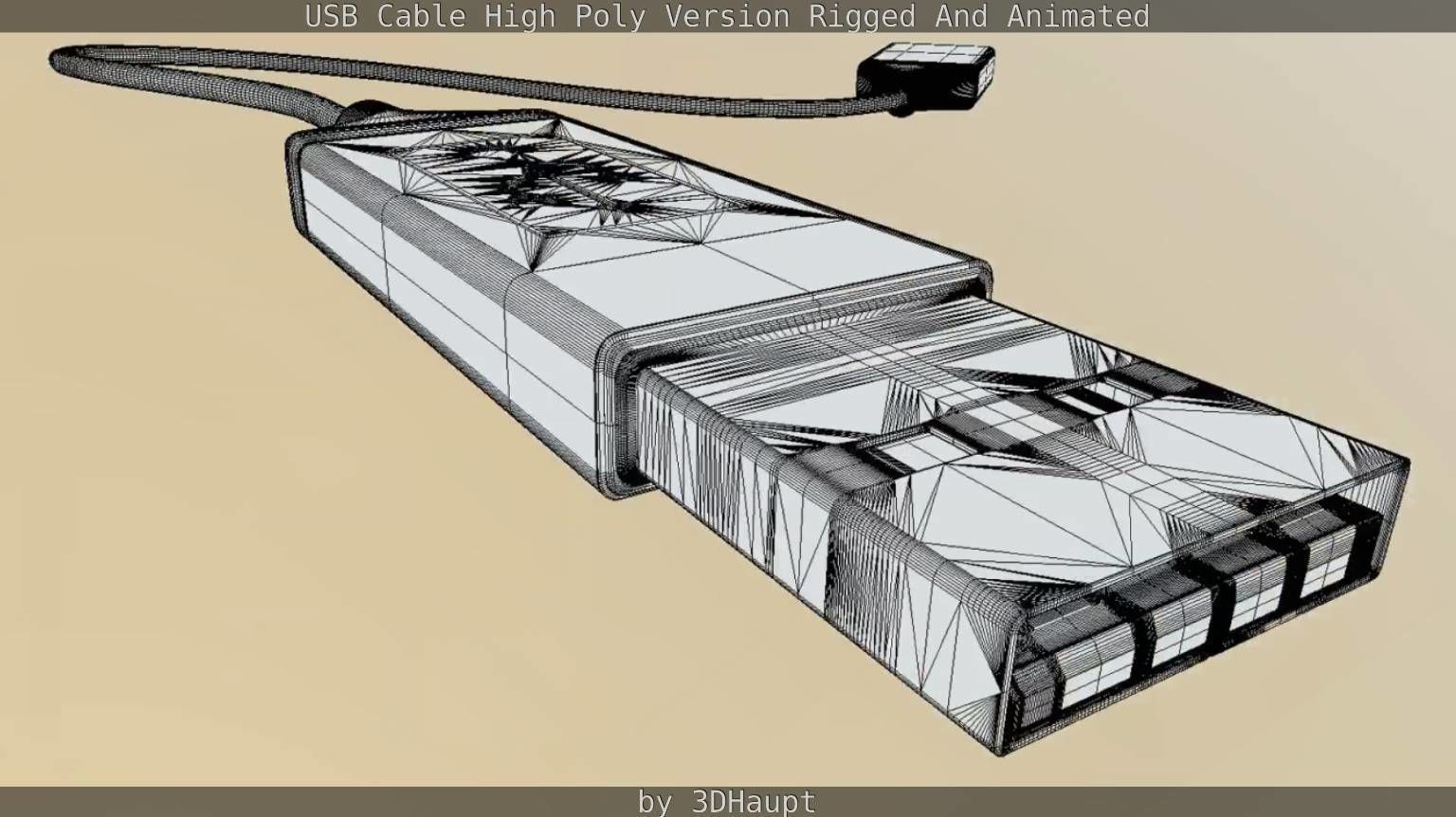 USB 3 Cable High Poly Version Rigged And Animated 3D model_133