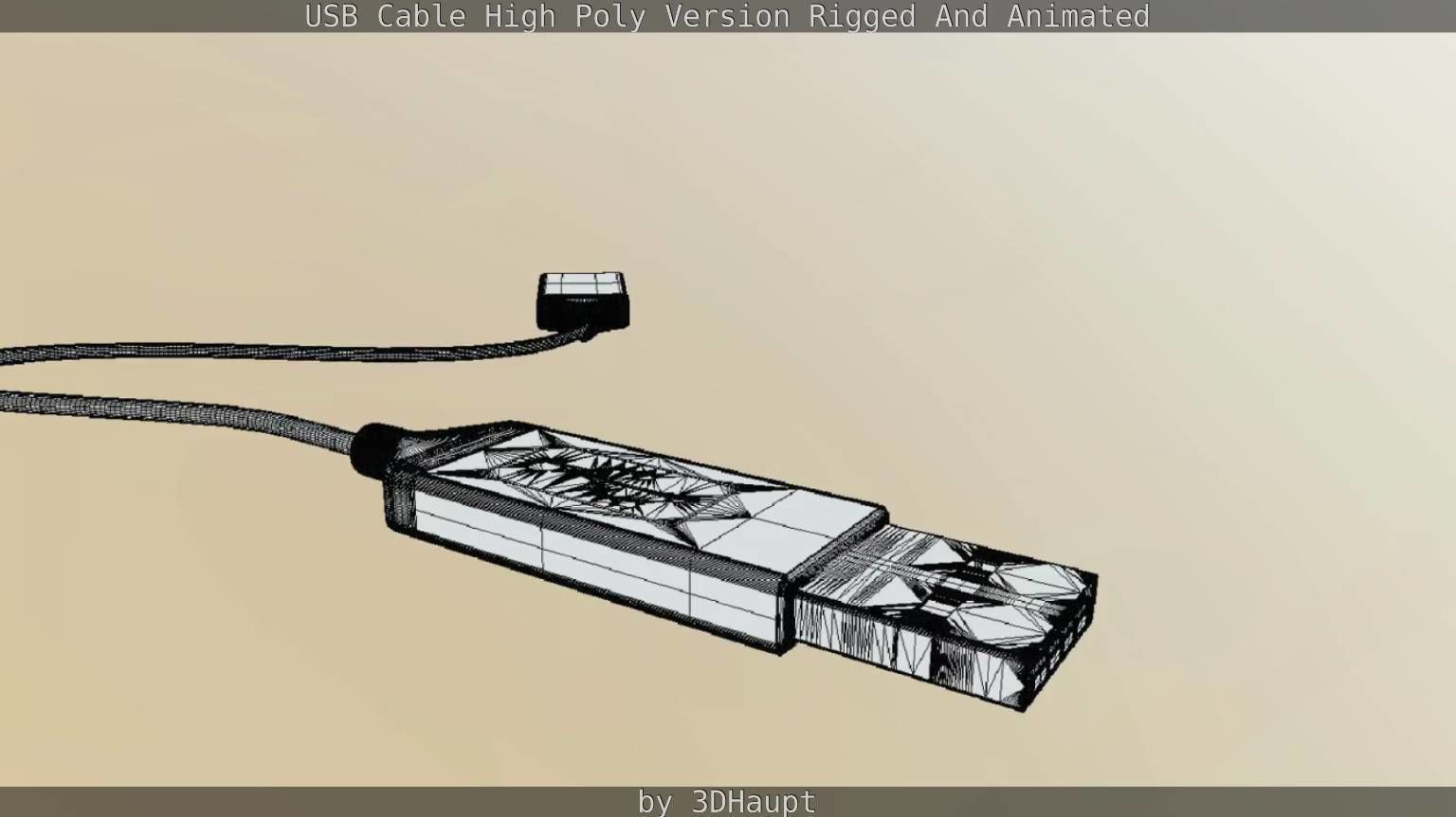 USB 3 Cable High Poly Version Rigged And Animated 3D model_121