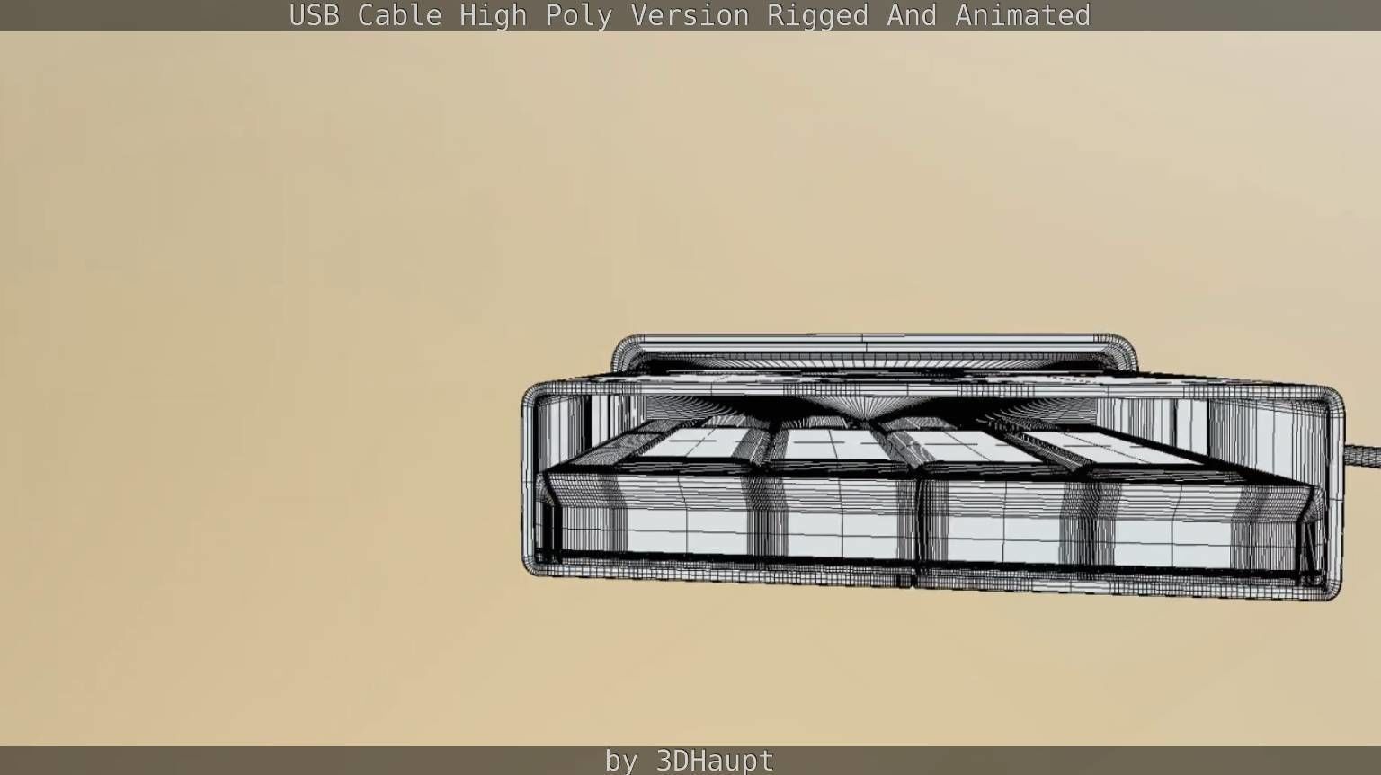 USB 3 Cable High Poly Version Rigged And Animated 3D model_136