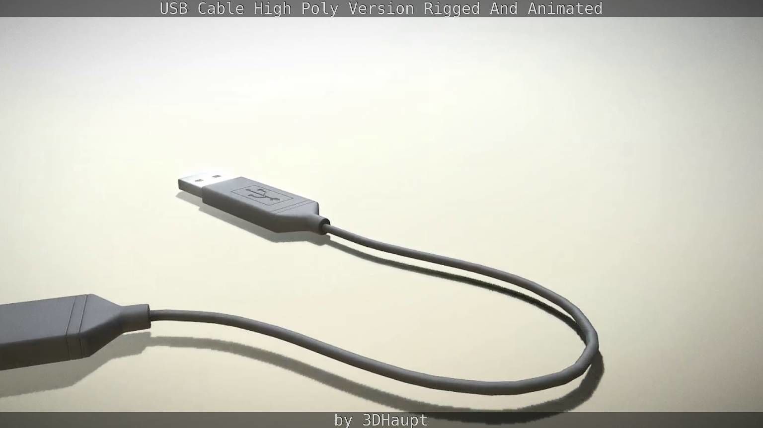 USB 3 Cable High Poly Version Rigged And Animated 3D model_89