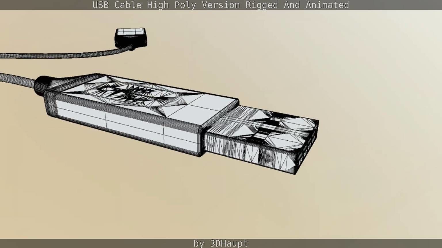 USB 3 Cable High Poly Version Rigged And Animated 3D model_129
