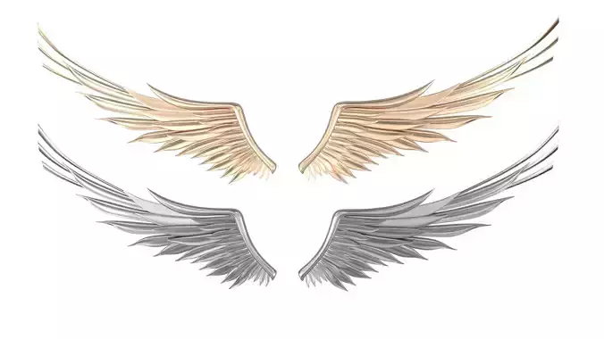Wing 3D Model