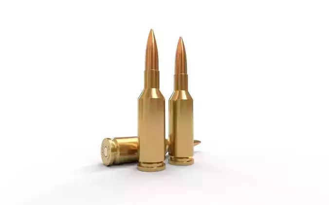 22 PPC Ammo