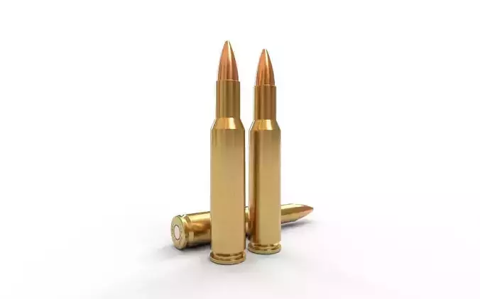 25 Remington  Ammo