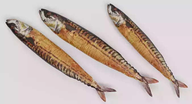 Smoked Mackerel - Realistic Whole Fish Low-poly 3D model 7