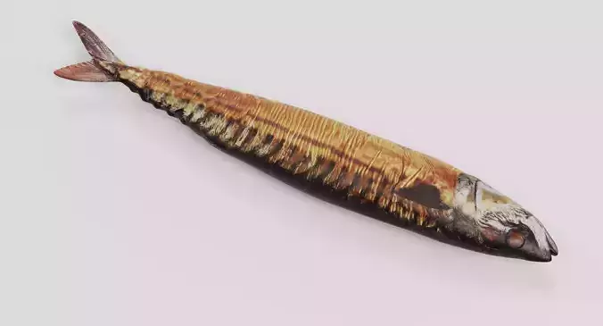 Smoked Mackerel - Realistic Whole Fish Low-poly 3D model 4