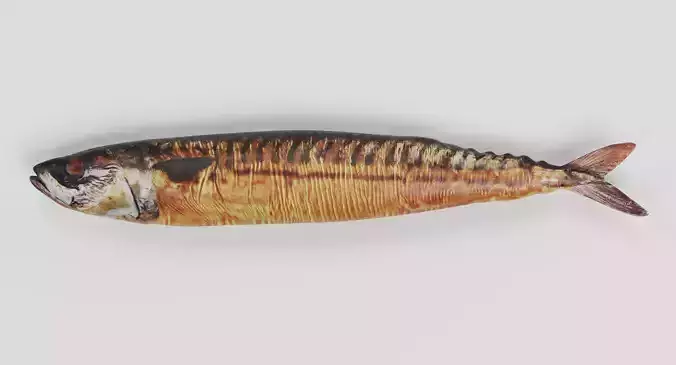Smoked Mackerel - Realistic Whole Fish Low-poly 3D model 3