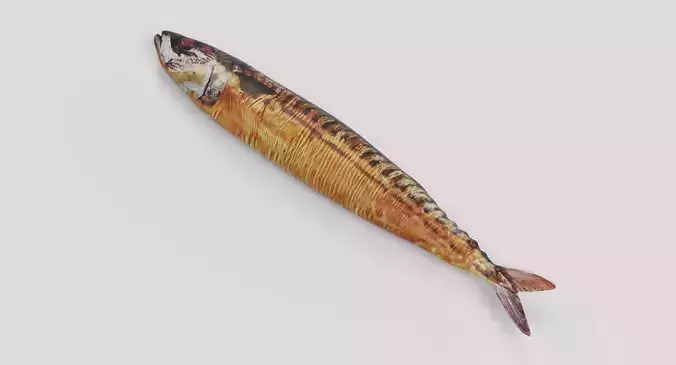 Smoked Mackerel - Realistic Whole Fish Low-poly 3D model 2