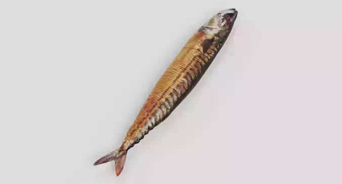 Smoked Mackerel - Realistic Whole Fish Low-poly 3D model 6