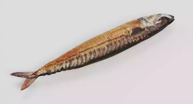 Smoked Mackerel - Realistic Whole Fish Low-poly 3D model 5