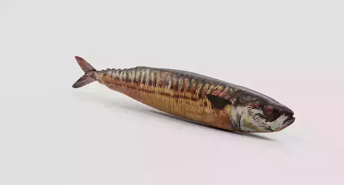 Smoked Mackerel - Realistic Whole Fish Low-poly 3D model