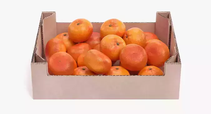 -Tangerines in Box-