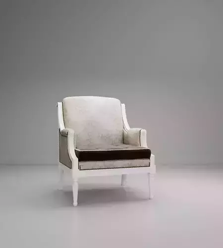 Otina Armchair