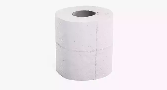 -Toilet Paper V2-