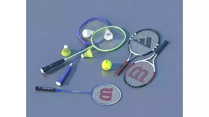 Badminton Equipment
