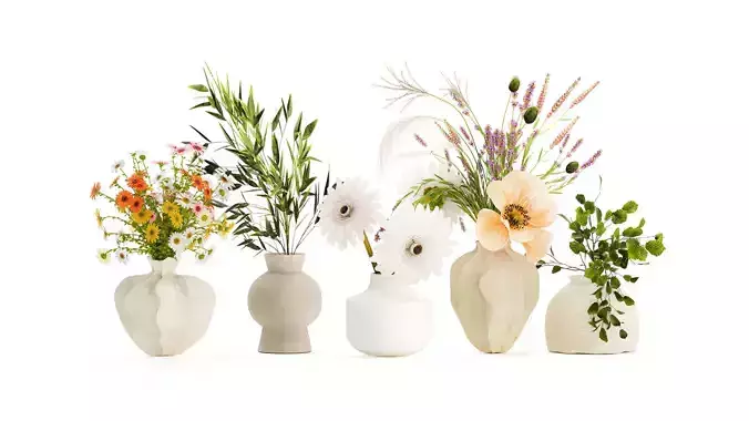 Collection small bouquets poppy chamomile lavender