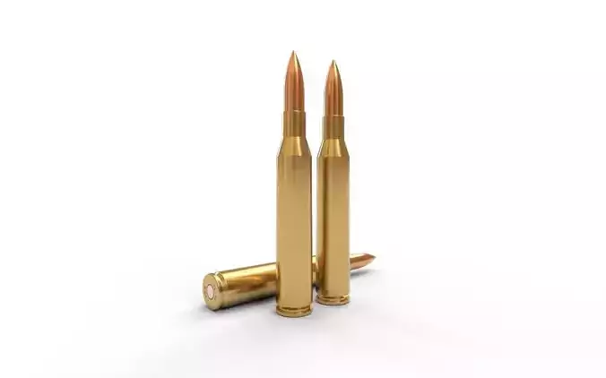 25-06 Remington  Ammo