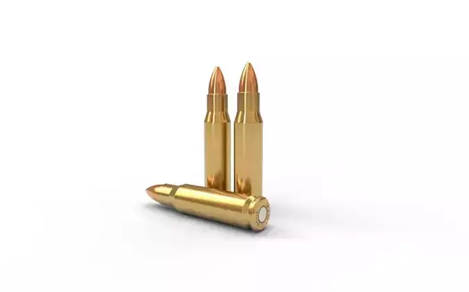 56x33mm Rook Ammo