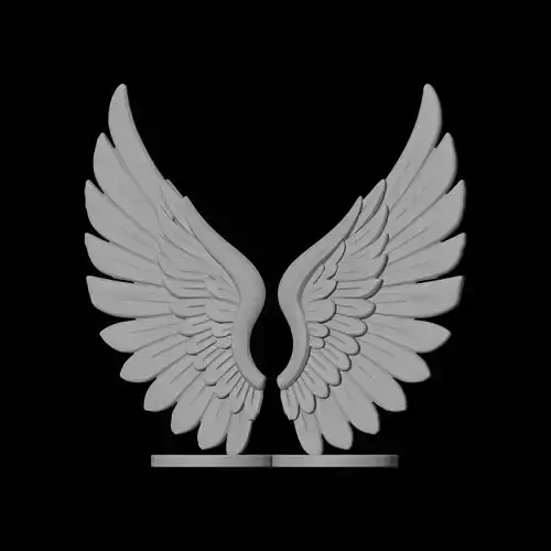 Pair of Angel Wings