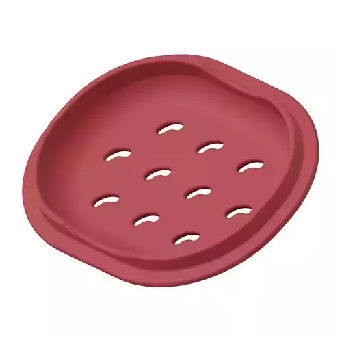 Plastic Deluxe Soap Dish