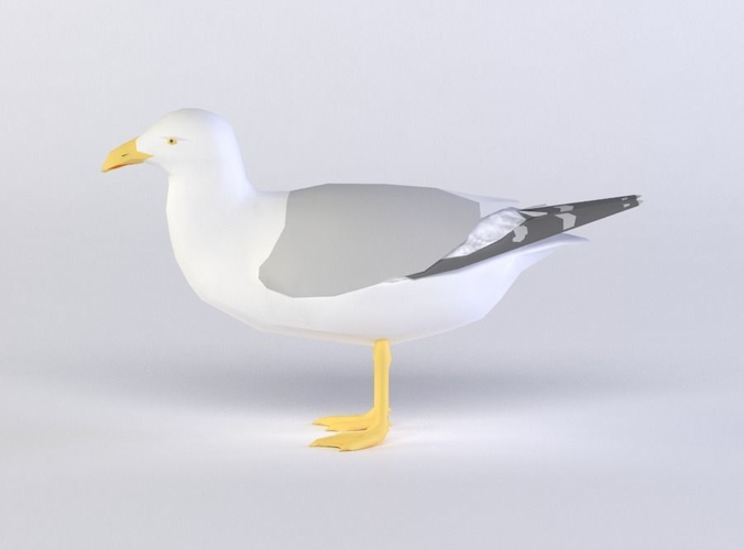 SEAGULL 3D MODEL Low-poly 3D model
