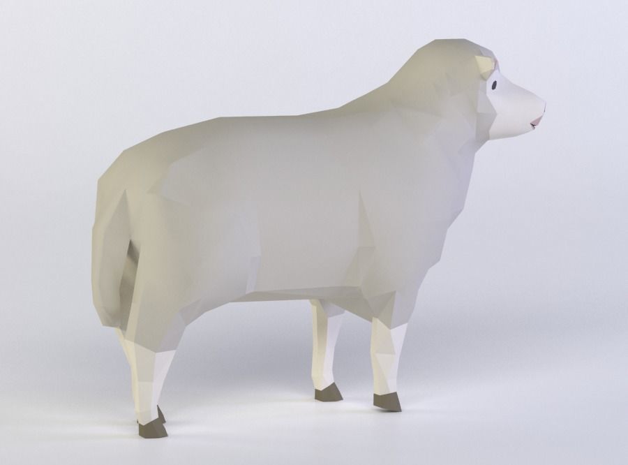 SHEEPS 3D MODEL sheep Low-poly 3D model_2