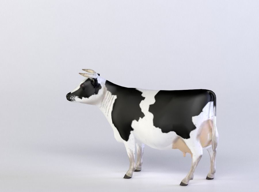 FRISIANS 3D MODEL cow Low-poly 3D model_1
