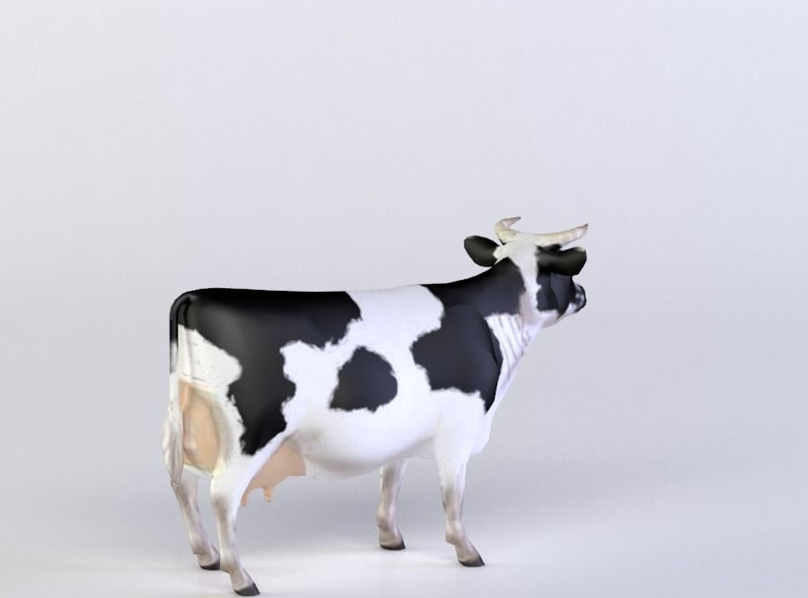 FRISIANS 3D MODEL cow Low-poly 3D model_2