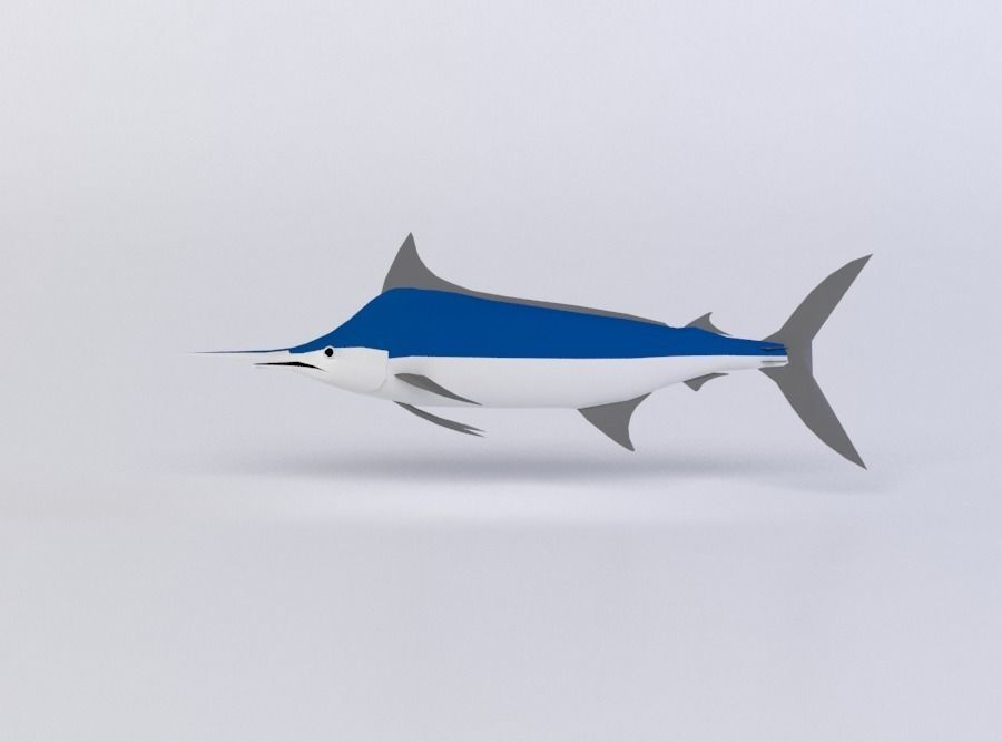BLUE MARLIN 3D MODEL Low-poly 3D model_0