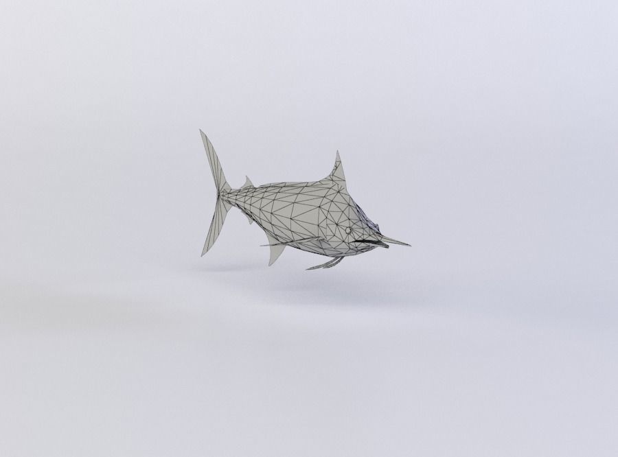 BLUE MARLIN 3D MODEL Low-poly 3D model_5